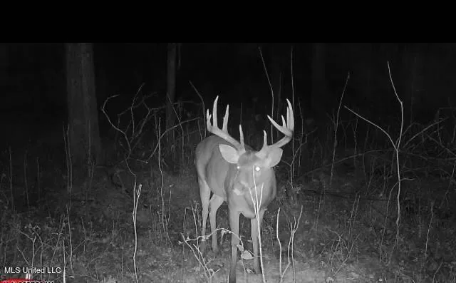 $4,995,000 | Old River Road, Vicksburg, MS 39183