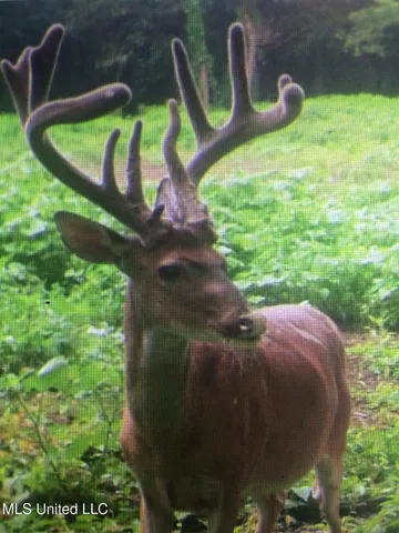 $4,995,000 | Old River Road, Vicksburg, MS 39183