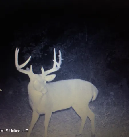 $4,995,000 | Old River Road, Vicksburg, MS 39183