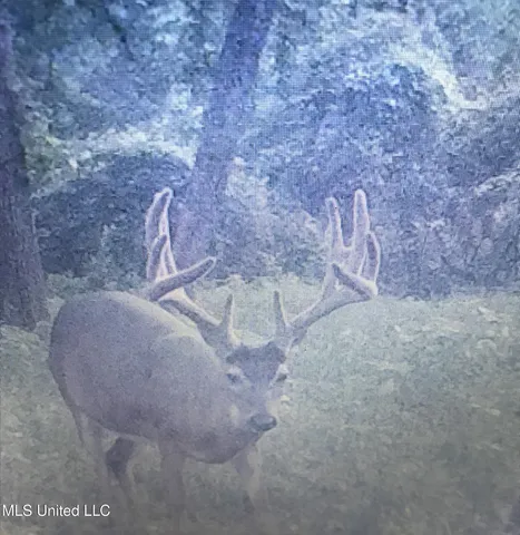 $4,995,000 | Old River Road, Vicksburg, MS 39183