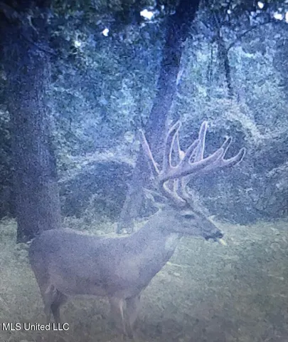 $4,995,000 | Old River Road, Vicksburg, MS 39183