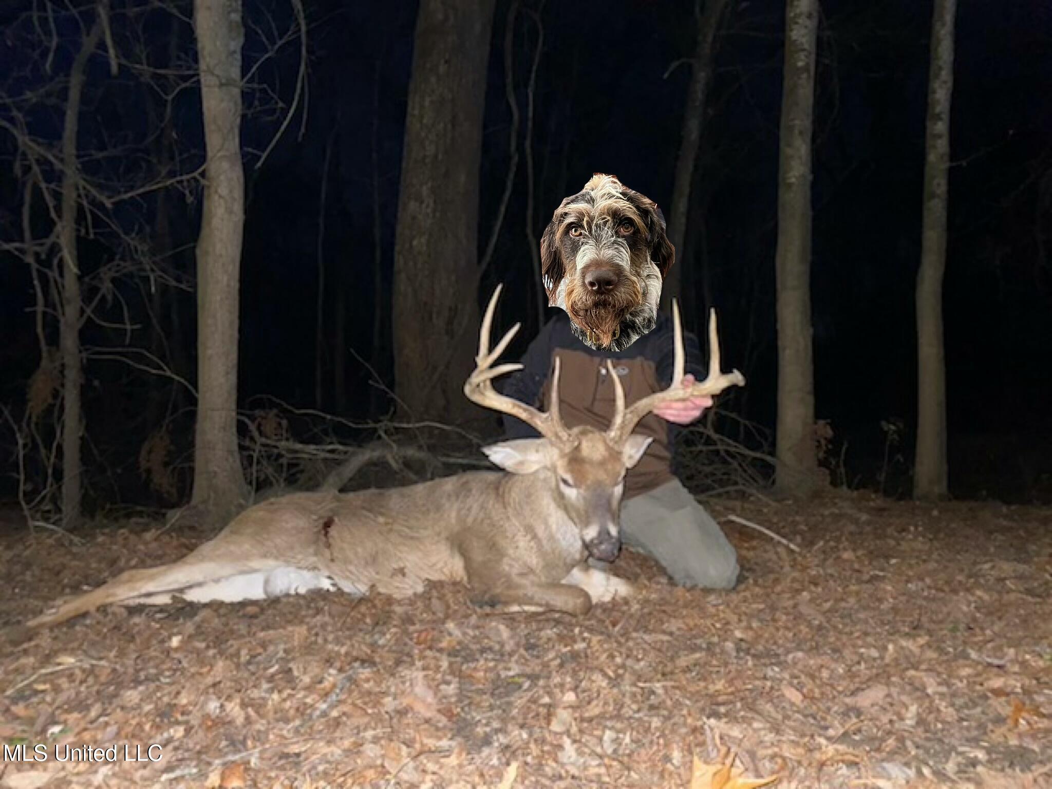 Old River Road Vicksburg, MS 39183 - Photo 90 of 93 SIX_8CBFD0B8-0A6B-40B4-B69C-E1982D2DD9BC