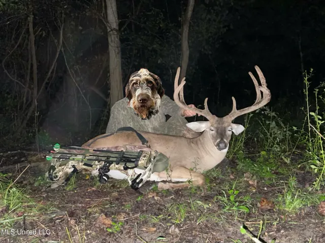 $4,995,000 | Old River Road, Vicksburg, MS 39183