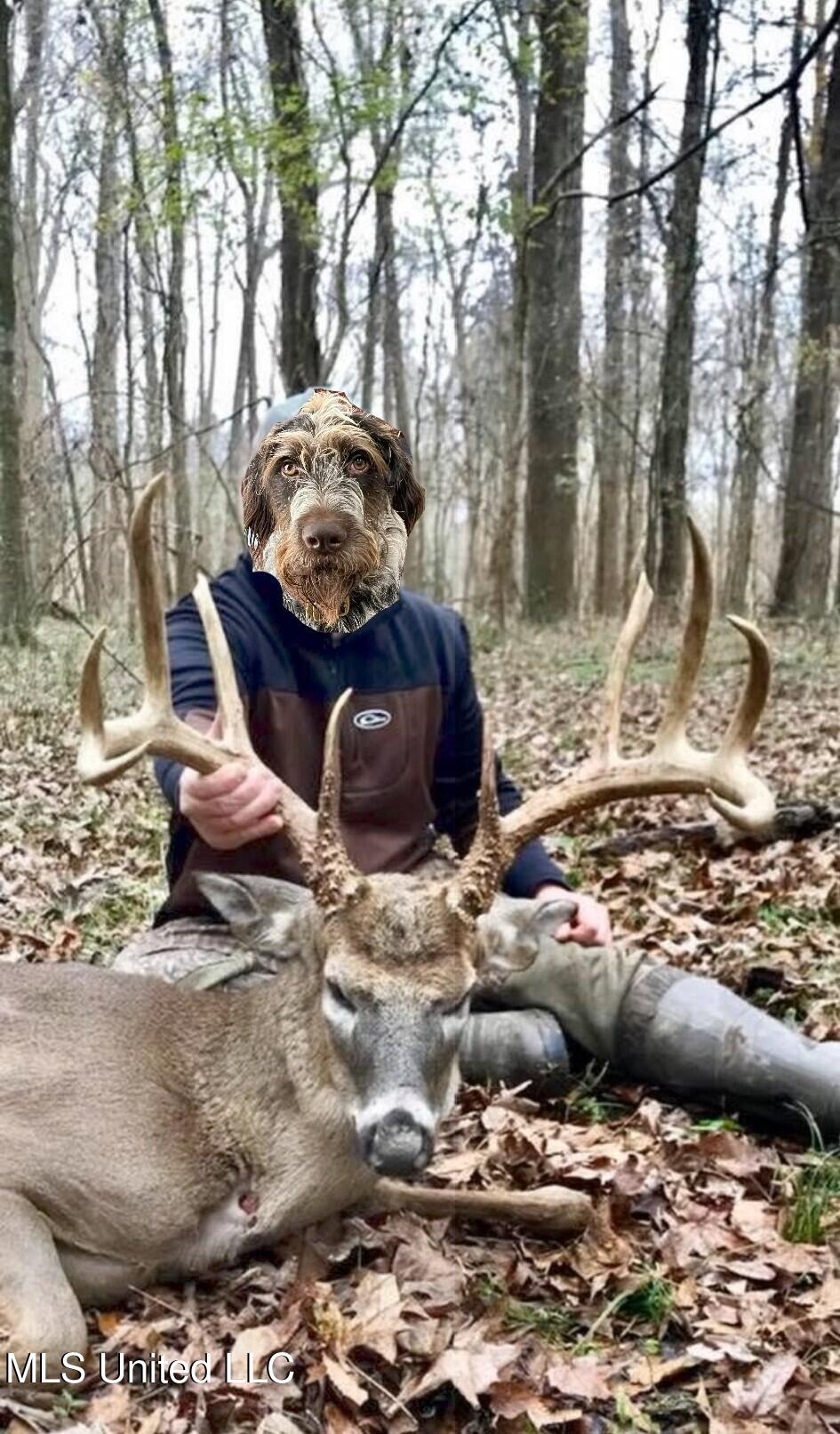 Old River Road Vicksburg, MS 39183 - Photo 92 of 93 SIX_90A2E5B2-D087-46C8-9032-4CE73325F19B