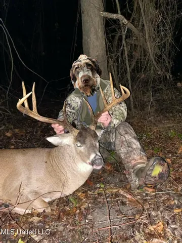 $4,995,000 | Old River Road, Vicksburg, MS 39183