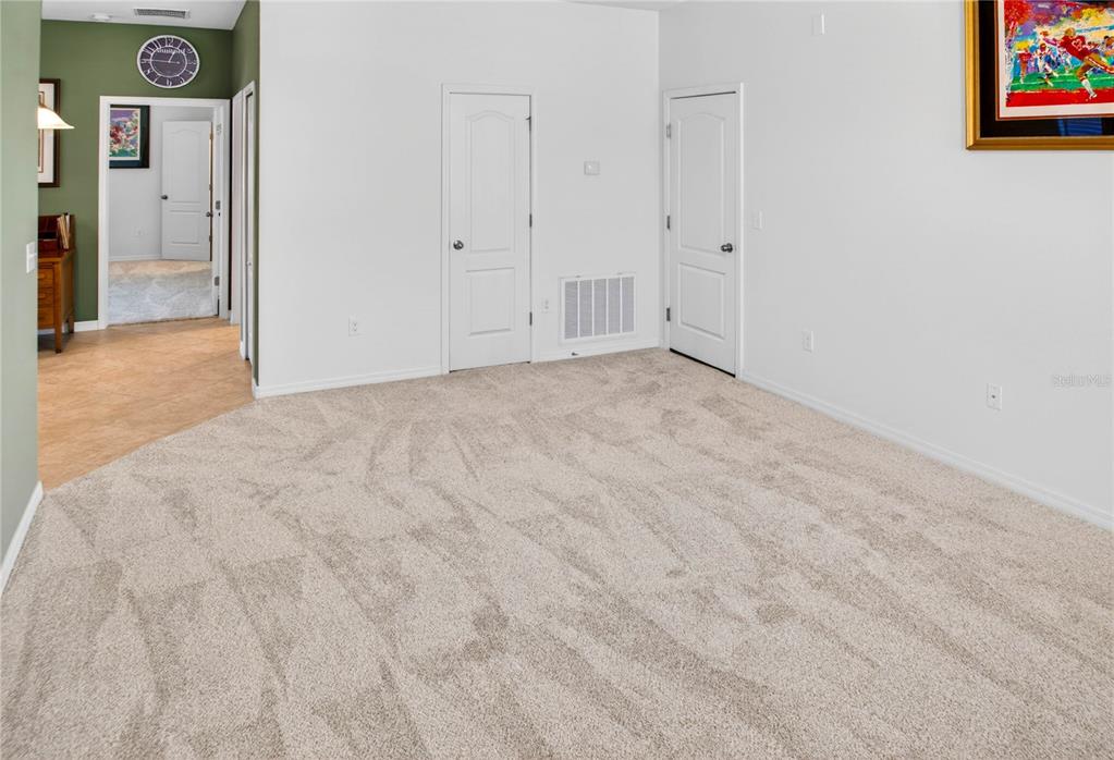 13415 White Sapphire Road Riverview, FL 33579 - Photo 25 of 96