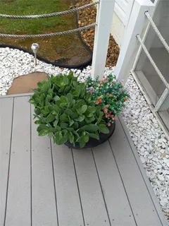 $299,900 | 113 Joshua Farms Lane, Ringgold, GA 30736