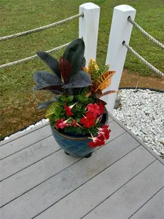 $299,900 | 113 Joshua Farms Lane, Ringgold, GA 30736