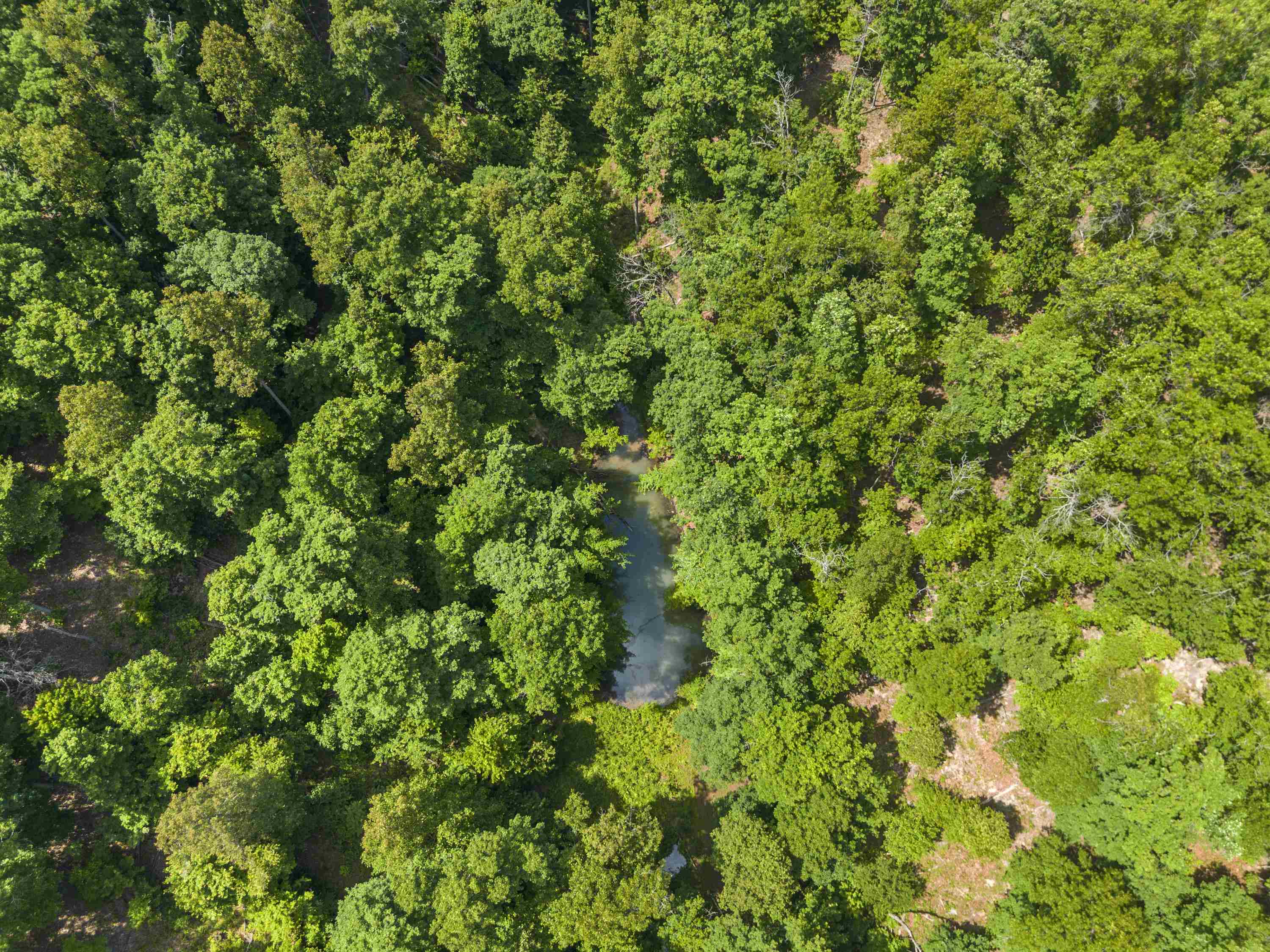 941 Tark Hill Road Grayson, KY 41143 - Photo 46 of 50