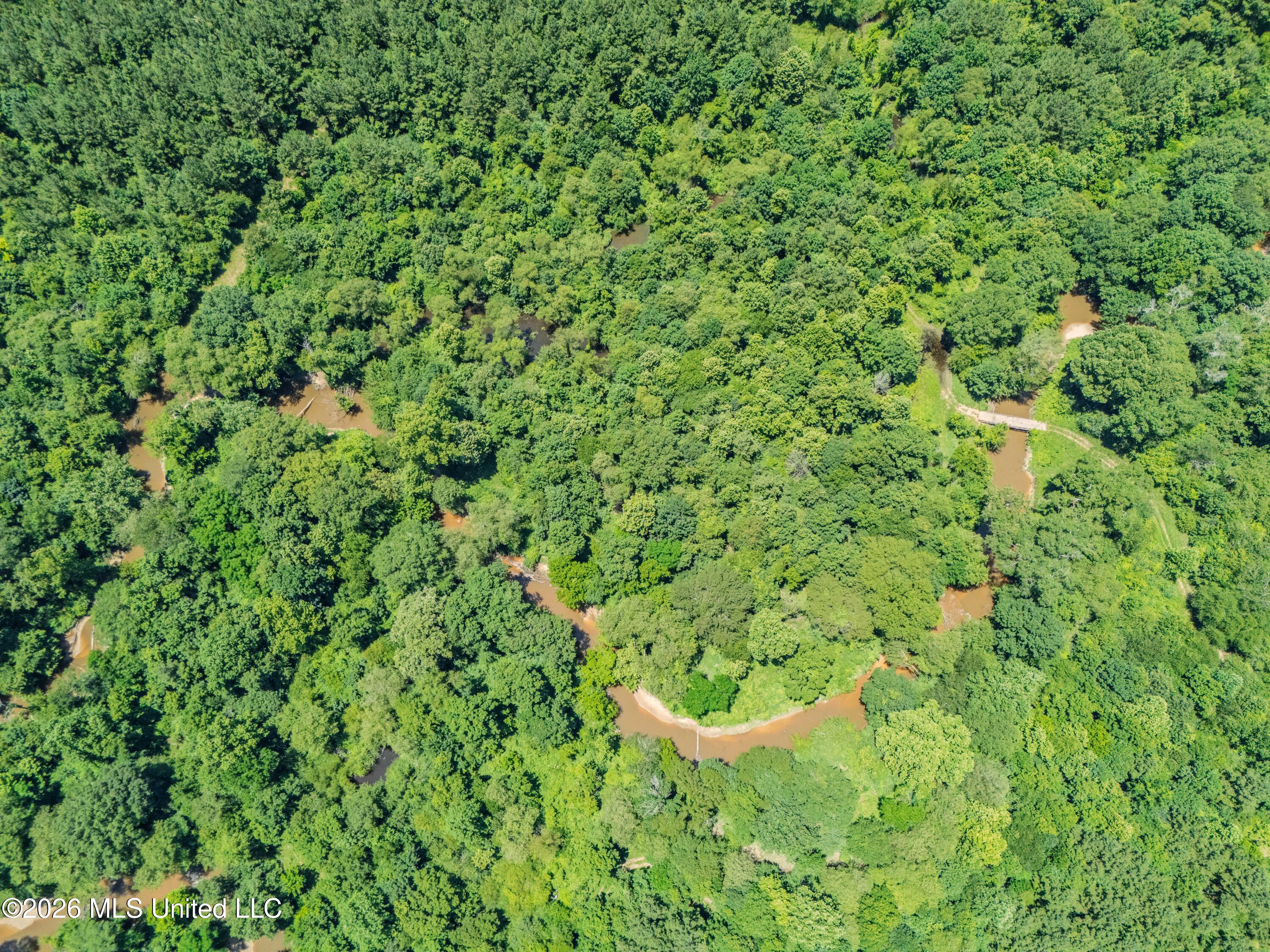23 Co Road Bay Springs, MS 39422 - Photo 56 of 64 DJI_20260611124123_0030_D