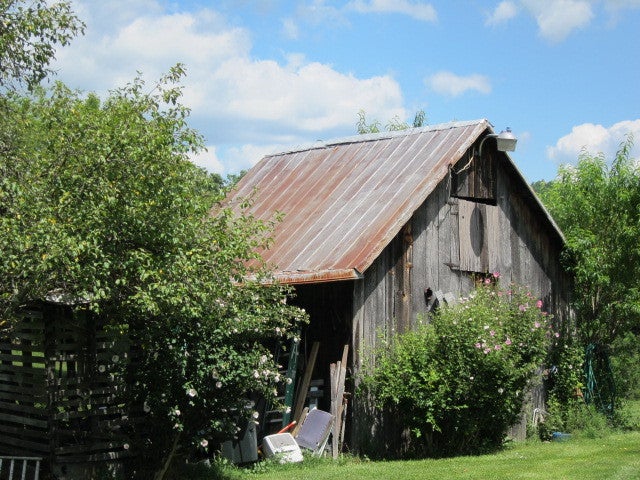 2025 Pete Lynch Road Secondcreek, WV 24974 - Photo 63 of 94 Shed, with corn crib.