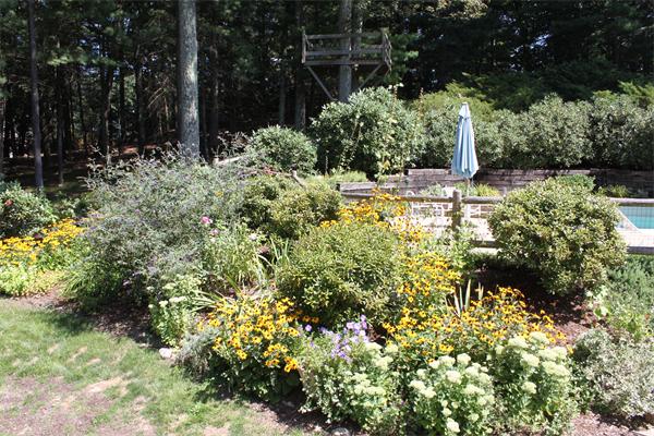 5 Folsoms Pond Road Wayland, MA 01778 - Photo 27 of 30