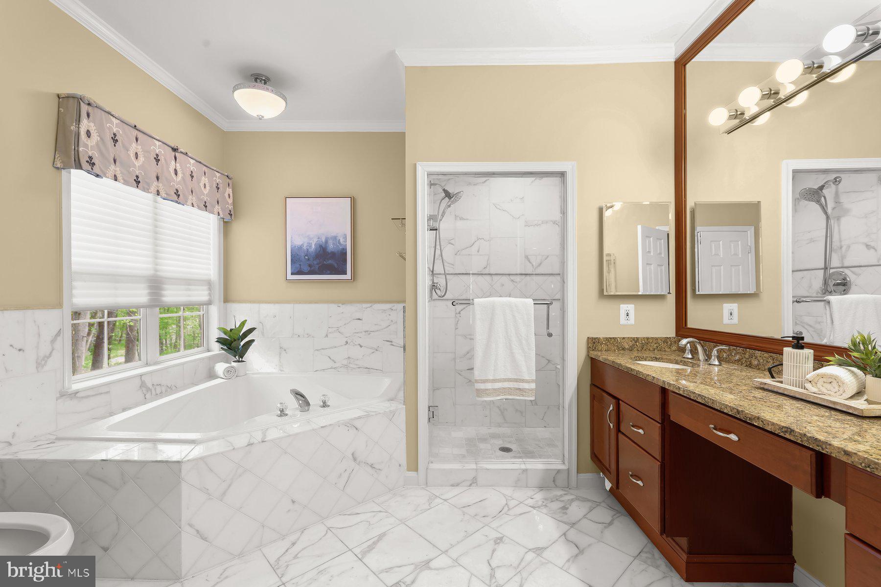 15101 Union Chapel Road Woodbine, MD 21797 - Photo 32 of 93 a spacious bathroom with a tub sink and mirror