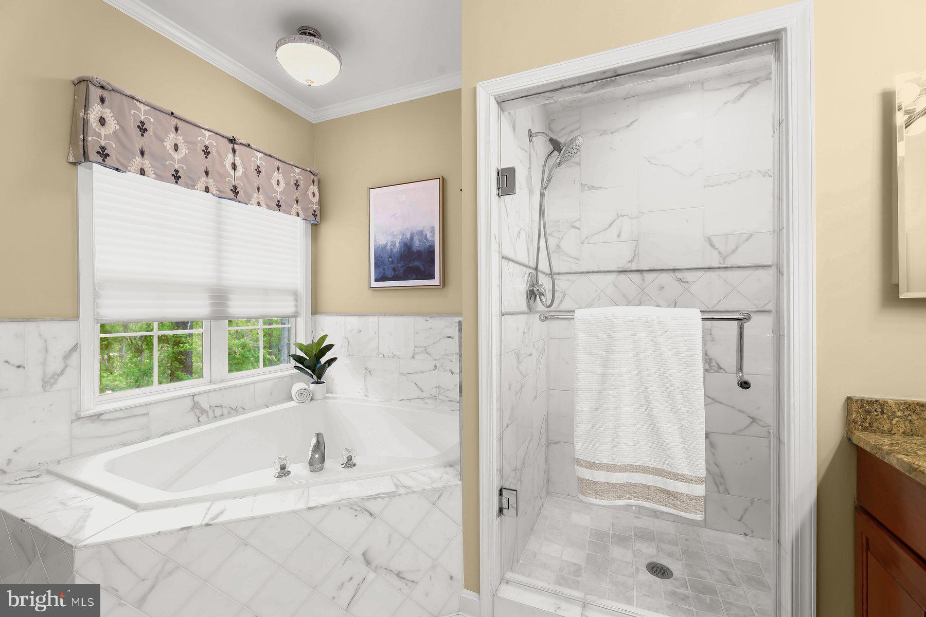 15101 Union Chapel Road Woodbine, MD 21797 - Photo 34 of 93 a bathroom with a bathtub and a shower