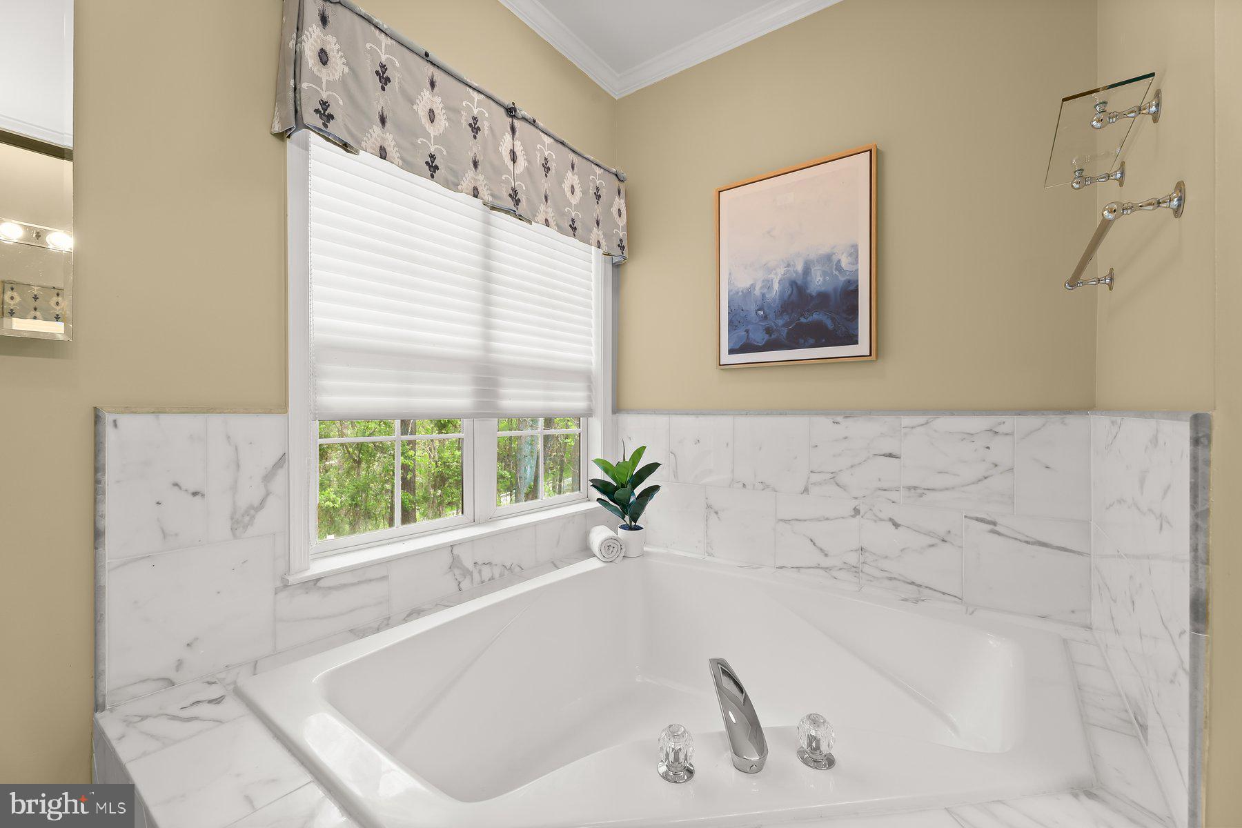 15101 Union Chapel Road Woodbine, MD 21797 - Photo 35 of 93 a bath tub sitting in a bathroom next to a window