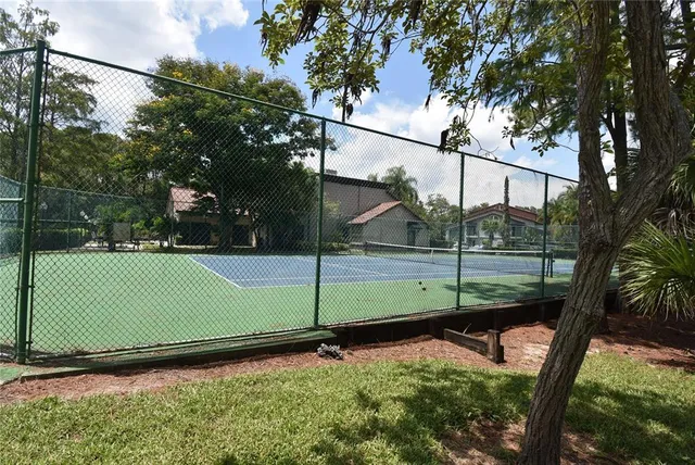 a view of a backyard
