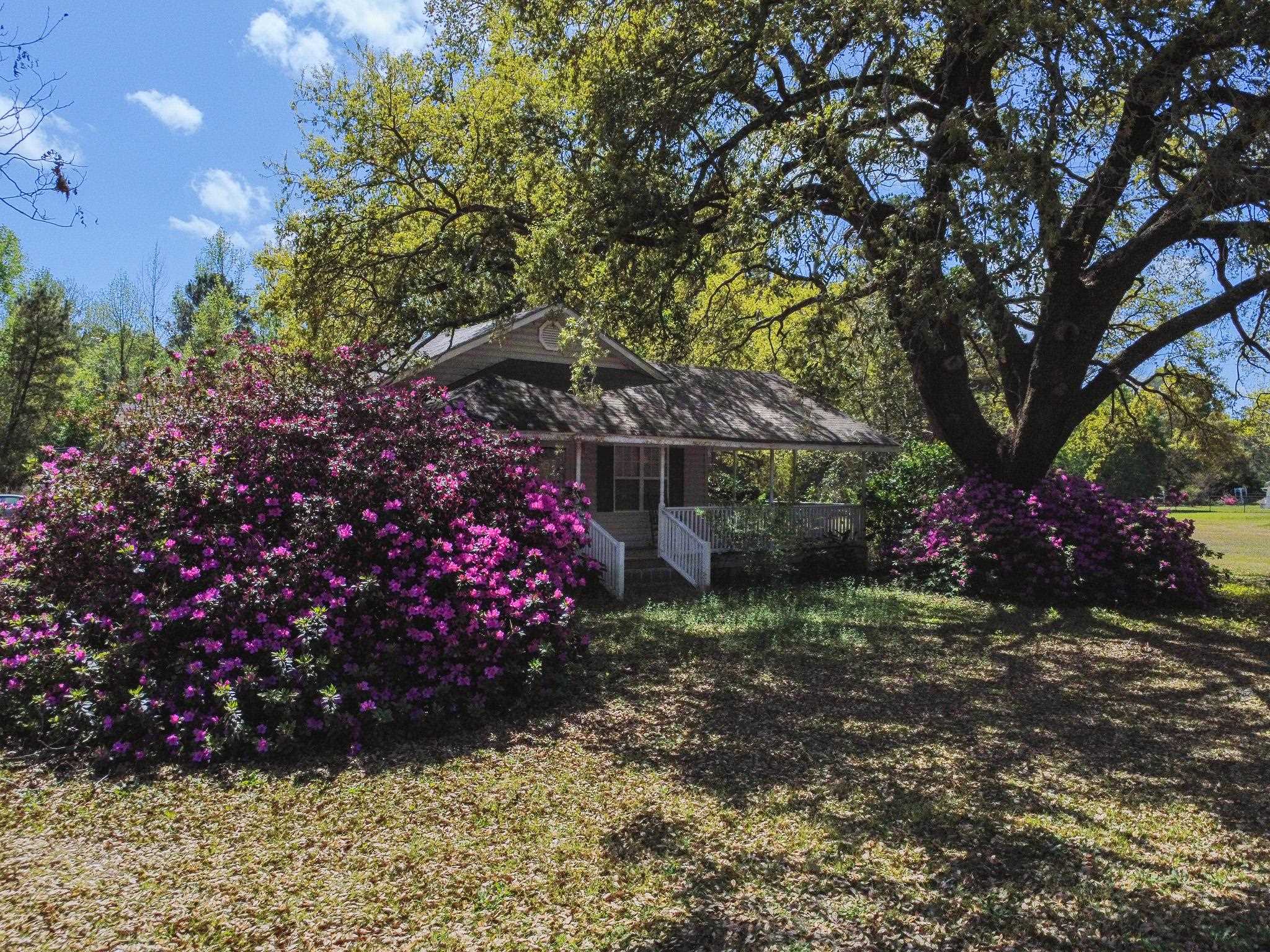 2934 Highway 905 Conway, SC 29526 - Photo 9 of 10