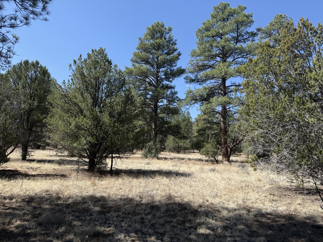 823 Timberlake Road Ramah, NM 87321 - Photo 21 of 47 Gallery Image 21