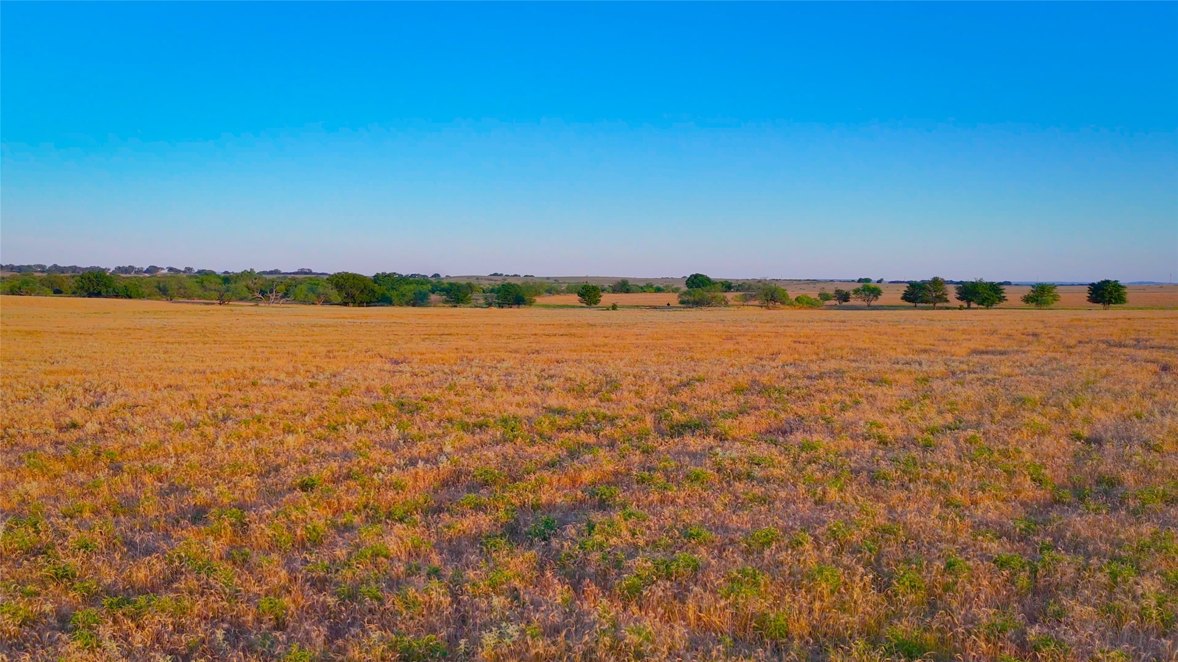 0 Cunningham Road Nocona, TX 76255 - Photo 6 of 18