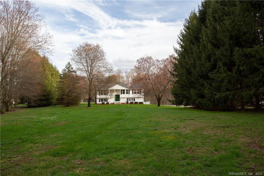 a view of a big yard with plants and large trees