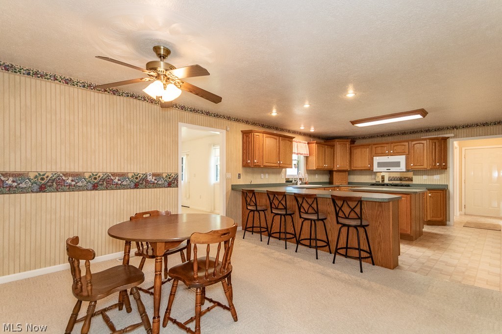 7710 Brakeman Road Painesville, OH 44077 - Photo 5 of 34 Carpeted dining area featuring sink, a textured ceiling, and ceiling fan