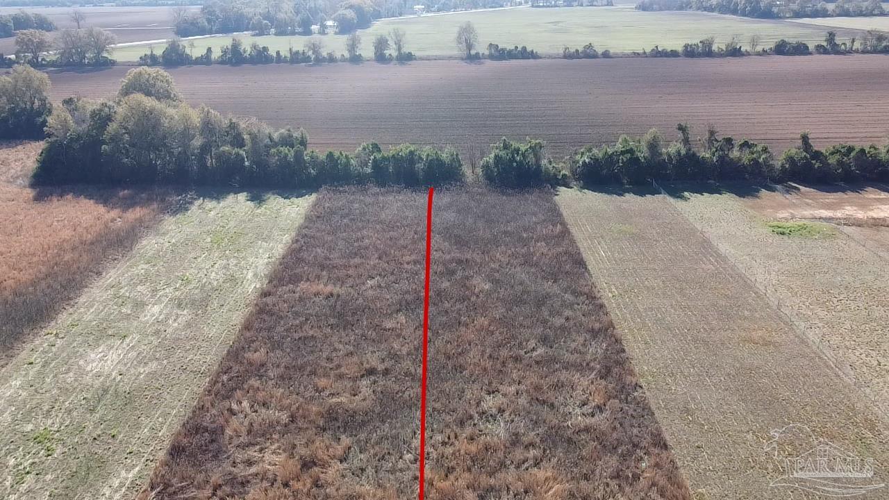 3549 Godwin Road Jay, FL 32565 - Photo 35 of 46