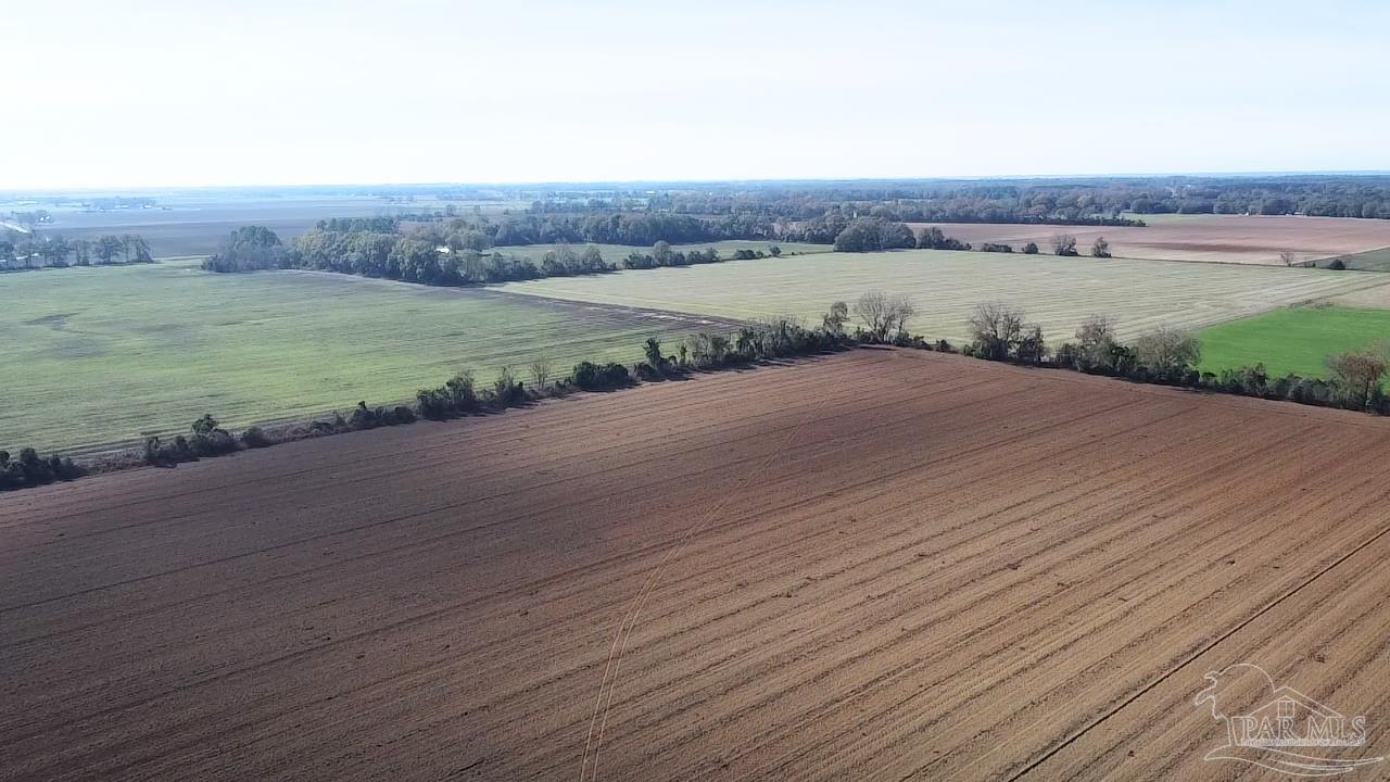 3549 Godwin Road Jay, FL 32565 - Photo 44 of 46