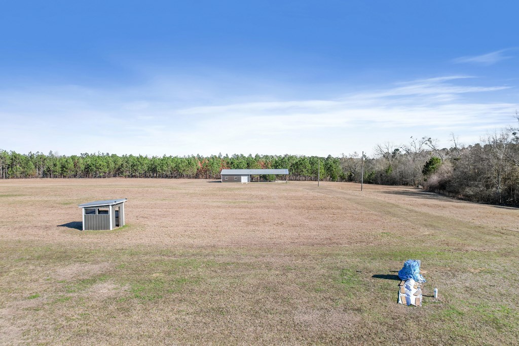 5430 North County 75 Road Columbia, AL 36319 - Photo 38 of 58