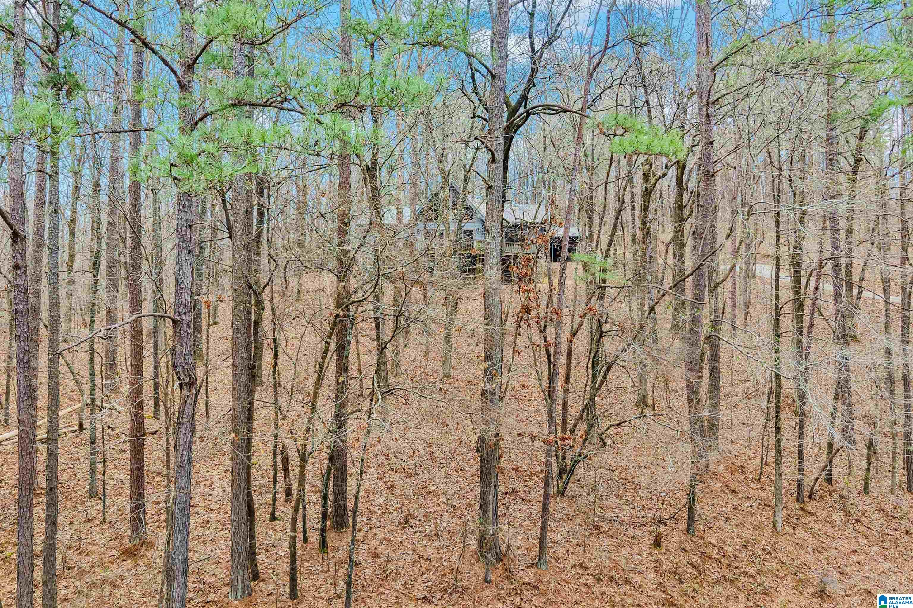 266 Davis Acres Drive Alpine, AL 35014 - Photo 16 of 60