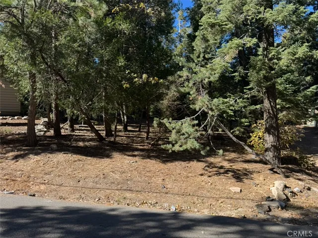 a view of a yard with wooden fence