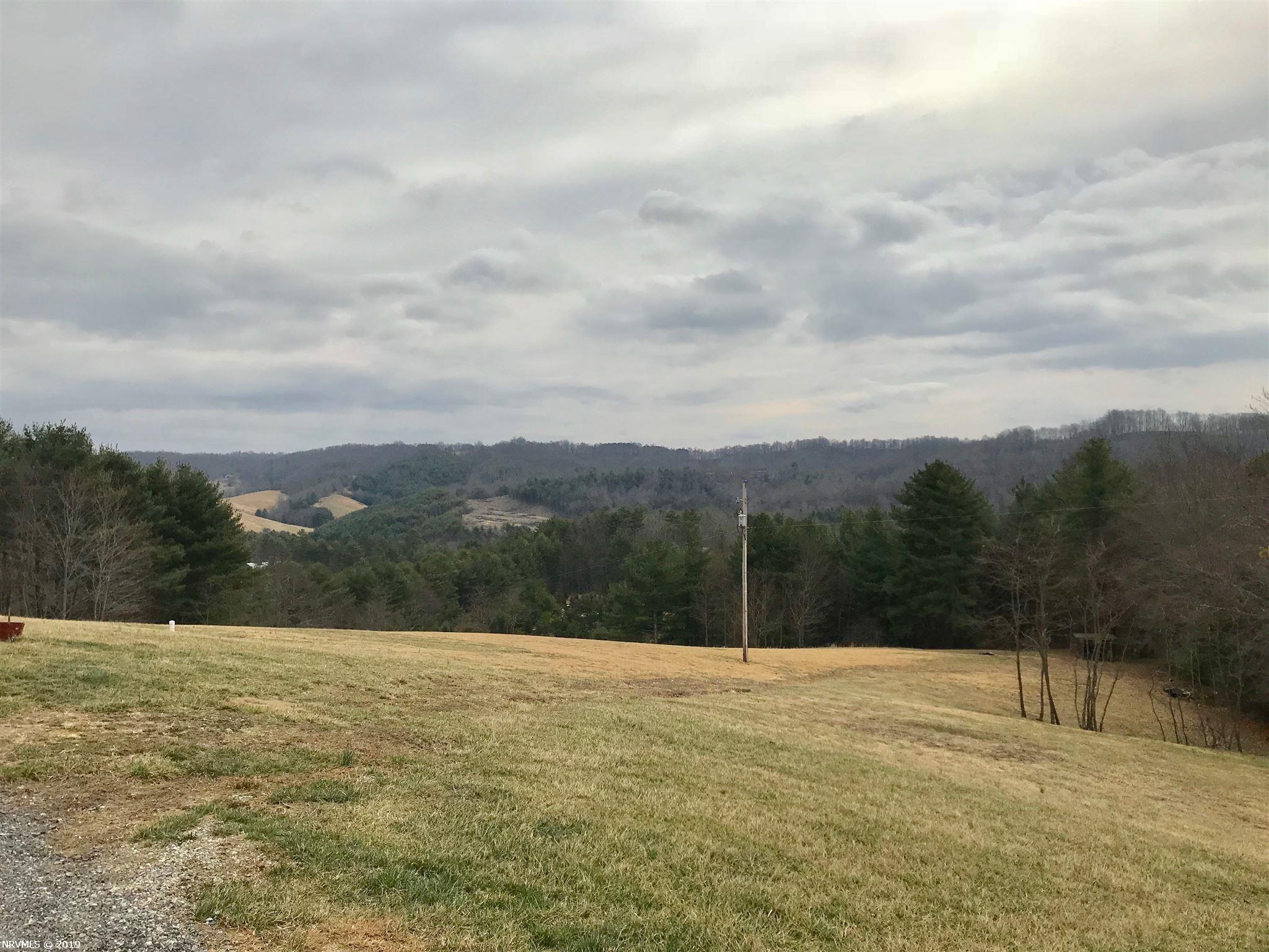 197 Dobbins Hollow Road Pilot, VA 24138 - Photo 44 of 53 Gallery Image 44