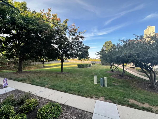 a view of a park with large trees