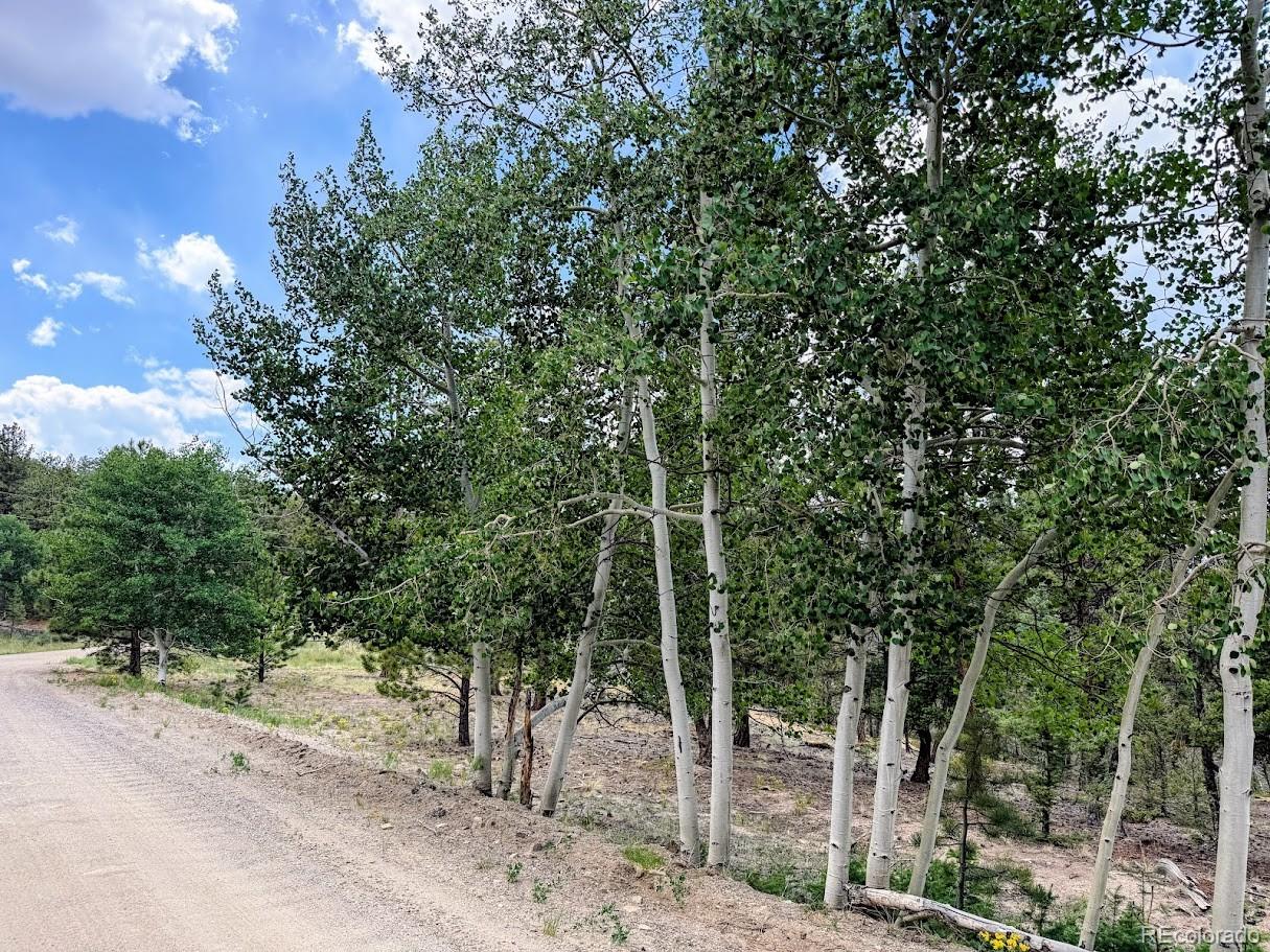 1789 Bellows Road Hartsel, CO 80449 - Photo 3 of 21