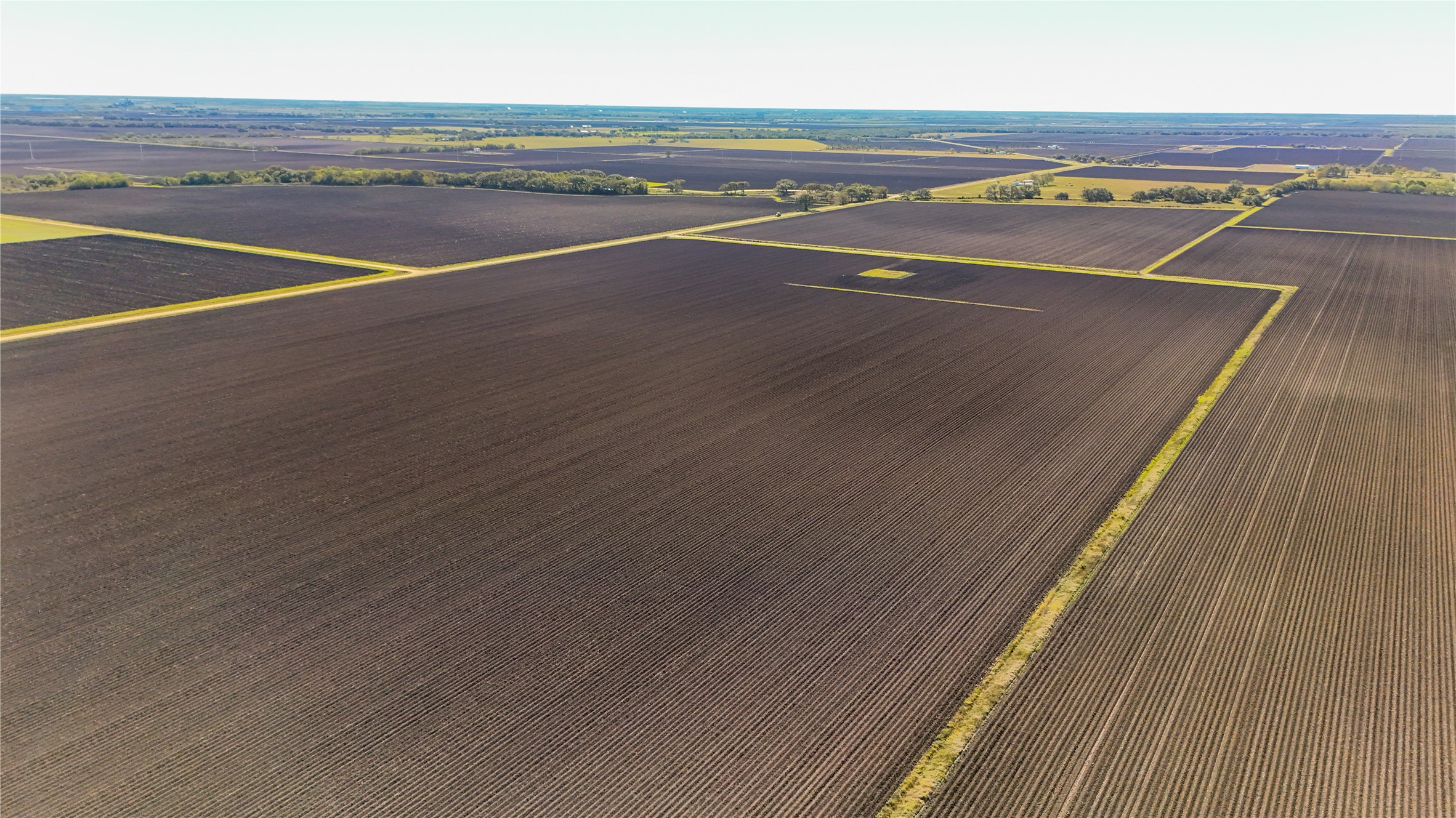 335 Rd Louise Tx 77455 Road El Campo, TX 77437 - Photo 12 of 19