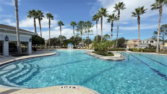 a view of a backyard with palm trees