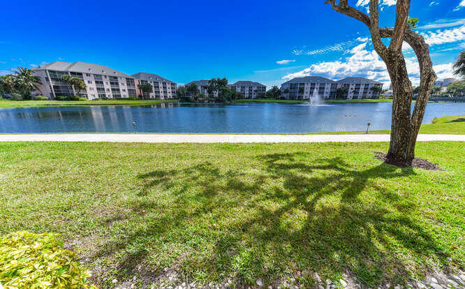 353 Highway 1, Unit A108 Jupiter, FL 33477 - Photo 25 of 36 a view of a large yard with a large tree and a table and chair in the patio