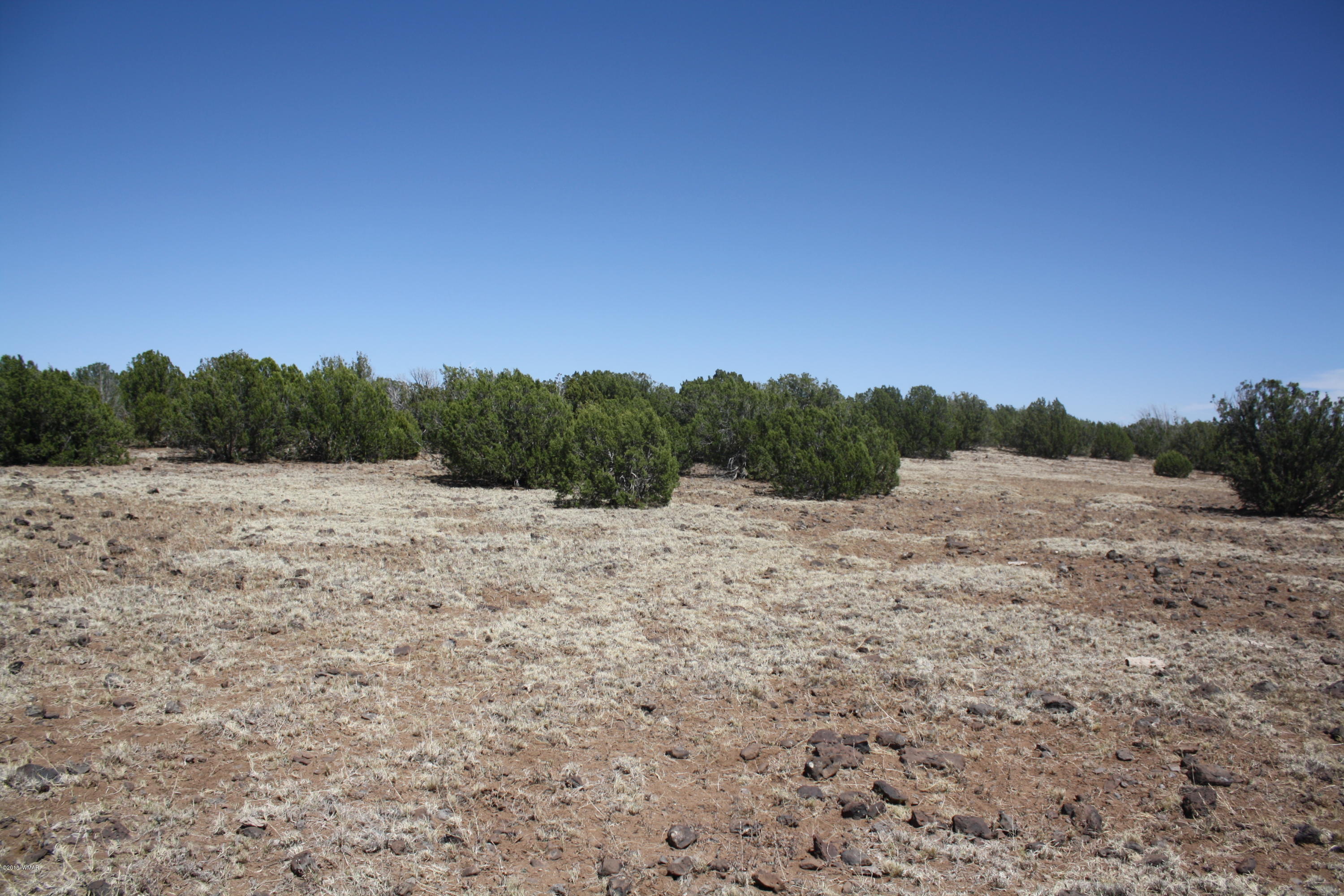 2113 Supancheck Road Show Low, AZ 85901 - Photo 13 of 28 Gallery Image 13