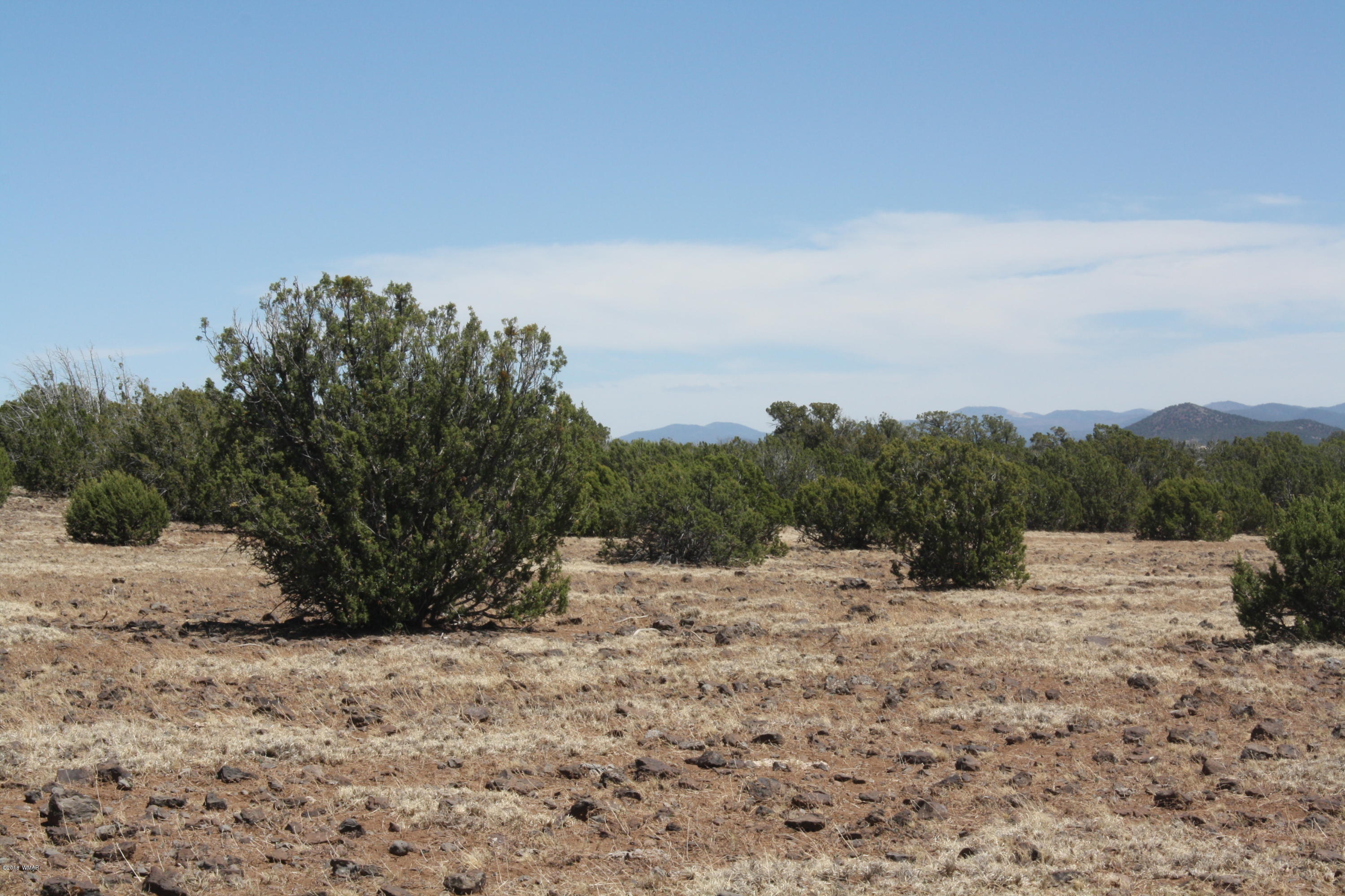 2113 Supancheck Road Show Low, AZ 85901 - Photo 21 of 28 Gallery Image 21