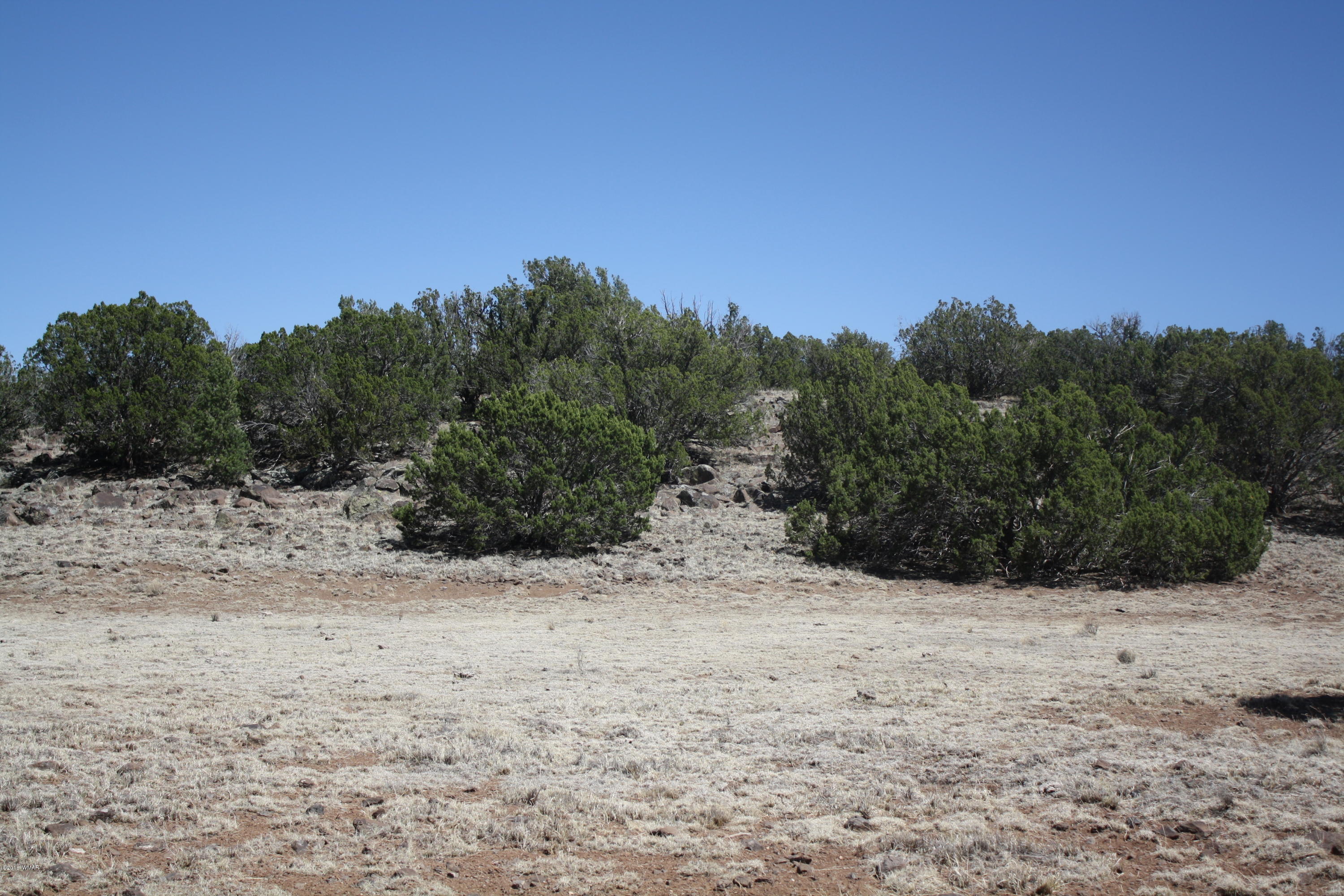 2113 Supancheck Road Show Low, AZ 85901 - Photo 22 of 28 Gallery Image 22