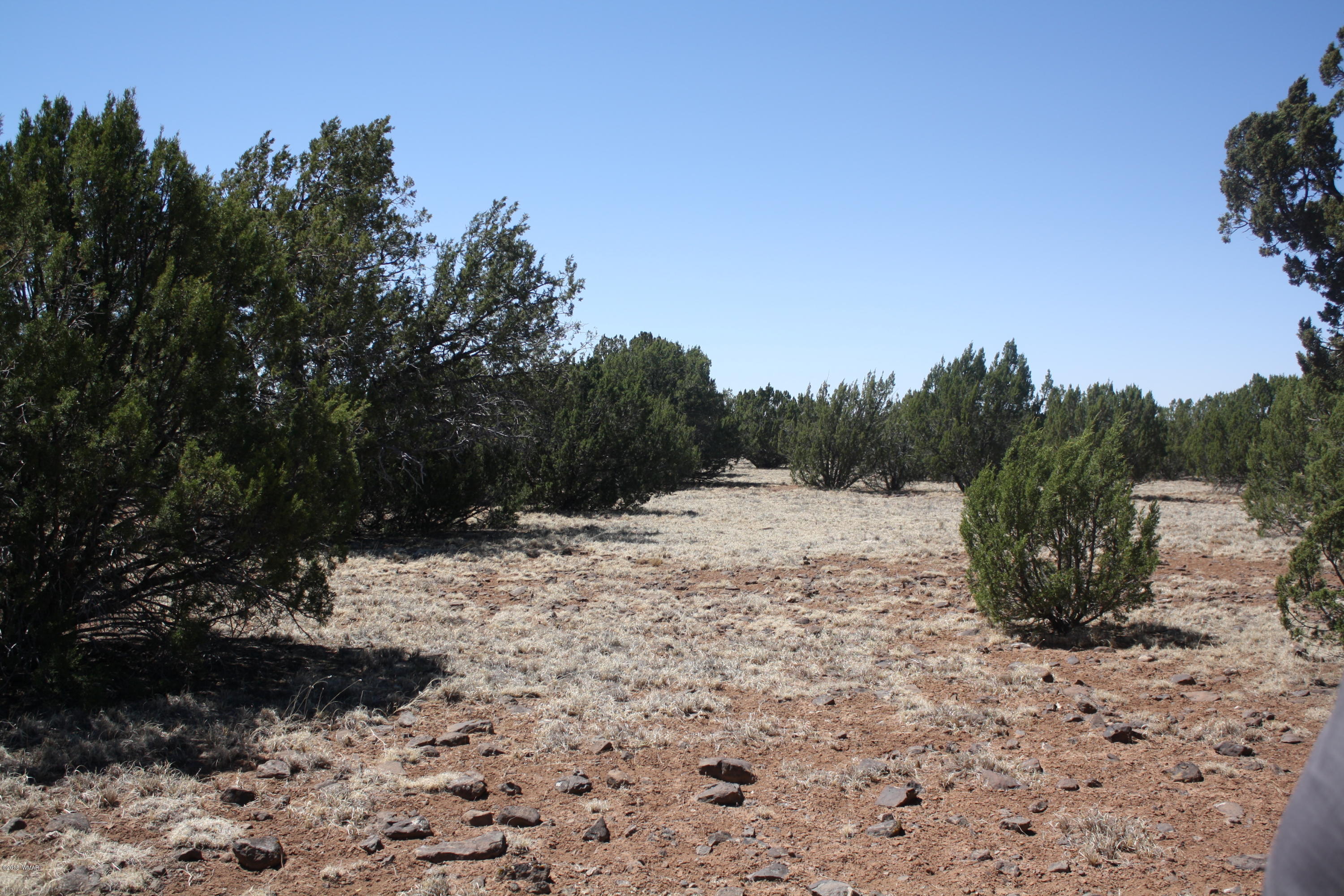 2113 Supancheck Road Show Low, AZ 85901 - Photo 25 of 28 Gallery Image 25