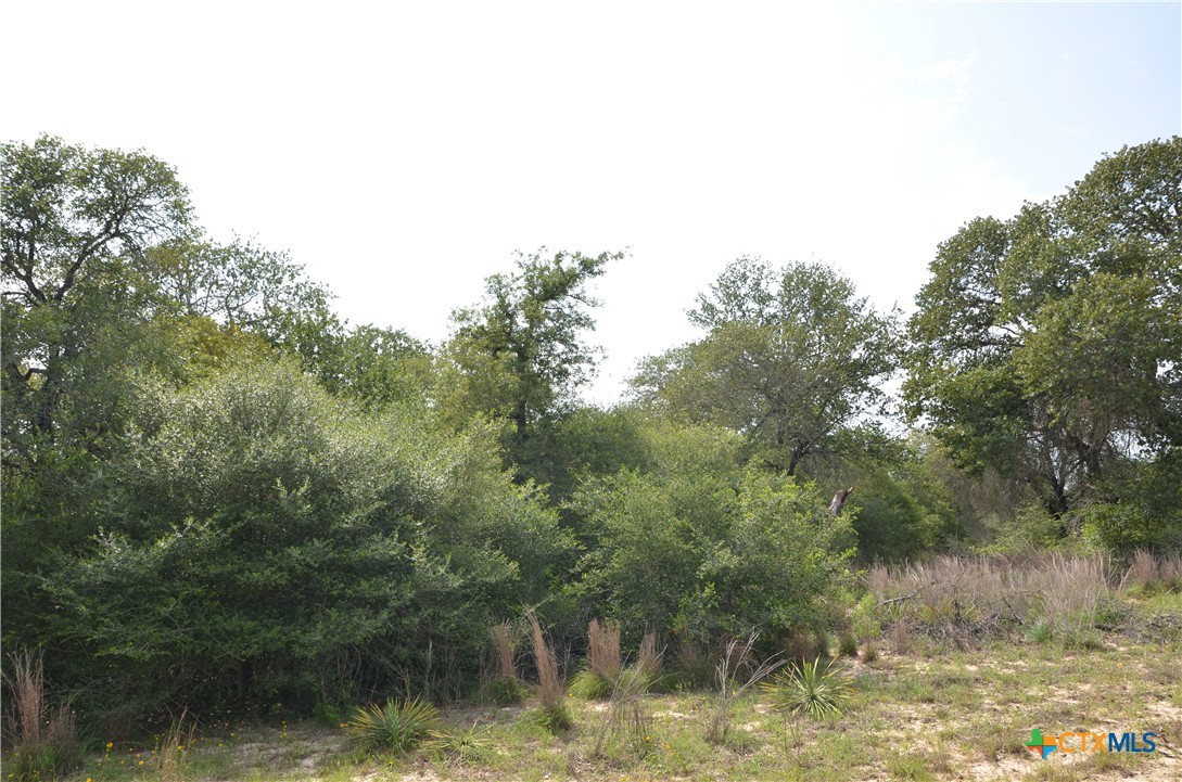 Lot 66 Powder Ridge Luling, TX 78648 - Photo 10 of 14