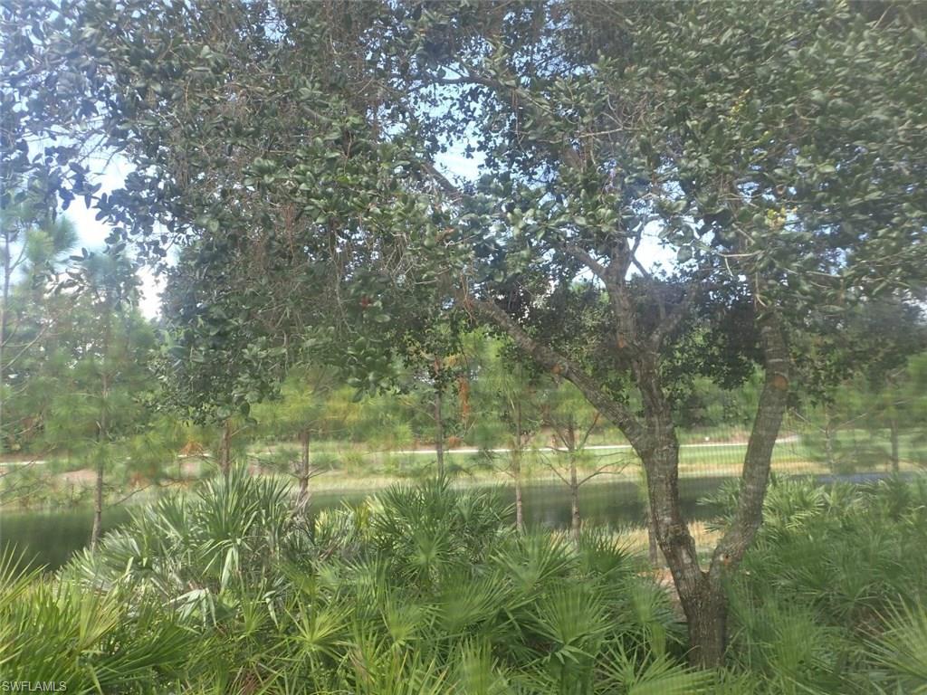 11623 Useppa Court Naples, FL 34110 - Photo 9 of 9 a view of lake with green space