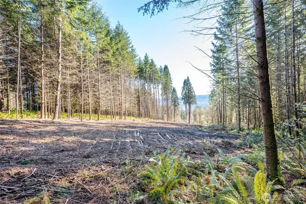 $125,000 | 0 Bunker Hill Road, Unit A, Longview, WA 98632