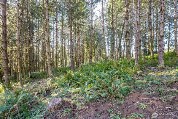 $125,000 | 0 Bunker Hill Road, Unit A, Longview, WA 98632