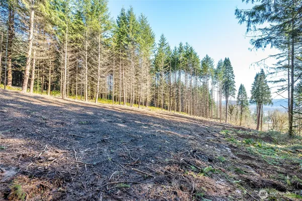 $125,000 | 0 Bunker Hill Road, Unit A, Longview, WA 98632