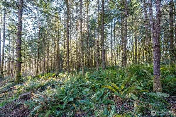 $125,000 | 0 Bunker Hill Road, Unit A, Longview, WA 98632