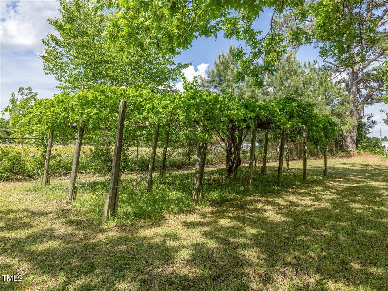 10186 Highway 97 Middlesex, NC 27557 - Photo 64 of 70 64-064-10186NC-97-20250502