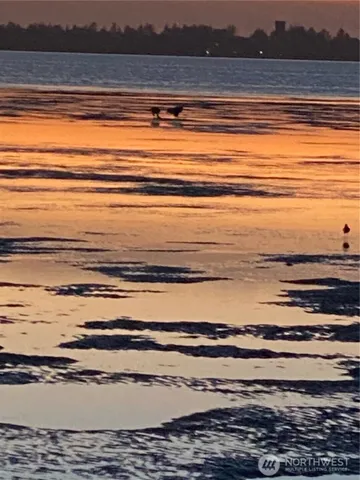 a view of a water view