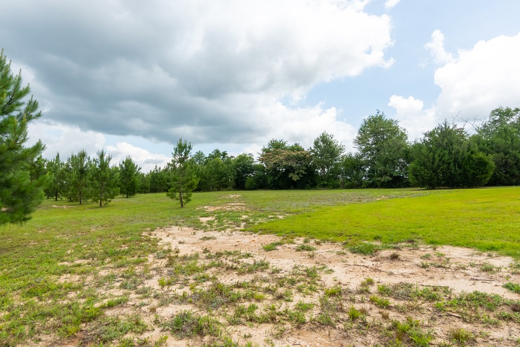 97 Eudon Best Road Ashford, AL 36312 - Photo 39 of 39