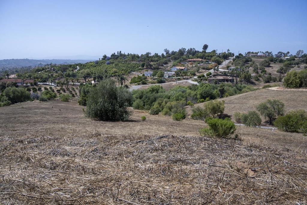 31801 Wrightwood Road Bonsall, CA 92003 - Photo 4 of 45